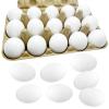 15 Pcs White Wooden Eggs Easter Egg, Life Size Plain Decorating Eggs for Kids Easter DIY Paint Your Own Egg, Easter Crafts, Eggs Hunt, Basket Stuffers and School Activities Supplies view 1