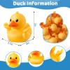 12 Pack Rubber Ducks for Jeeps, Ducks for Ducking, Yellow Mini Ducks in Bulk, Small Funny Rubber Ducks Baby Shower Toys, Kids Bath Summer Beach Pool Toys Birthday Valentines Gifts Party Favors view 2