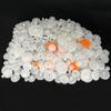 300PCS Small Motor Gears Plastic Gears for Motor RC Car Model Toy DIY Helicopter RC Toy Gear Replacement Module 0.5 (300) view 2