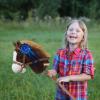 HollyHOME Stick Horse Plush with Detachable Blue Ribbon Champion Hobby Horse on Stick with Wood Wheels Real Pony Neighing for Kids Toddlers Chocolate 36 Inches(AA Batteries Required) view 4
