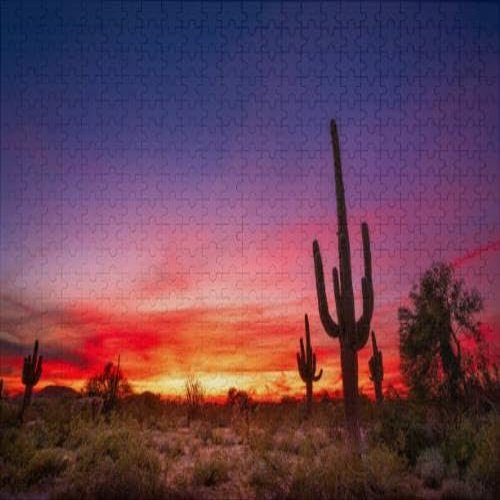 1000Pcs Wooden Jigsaw Puzzle for Adults Arizona Desert Landscape at Sunset Challenging Puzzle Jigsaw Puzzle for Adult Family Holiday Puzzle
