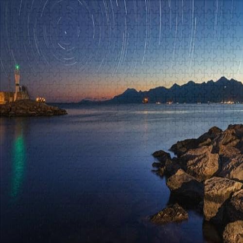 1000Pcs Wooden Jigsaw Puzzle for Adults Star Trails Challenging Puzzle Jigsaw Puzzle for Adult Family Holiday Puzzle