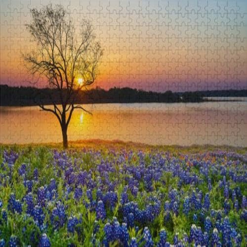 1000Pcs Wooden Jigsaw Puzzle for Adults Texas Bluebonnet Field Blooming The Spring by A Lake at Sunset Challenging Puzzle Jigsaw Puzzle for Adult Family Holiday Puzzle