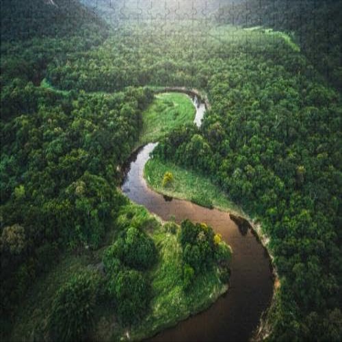 1000Pcs Wooden Jigsaw Puzzle for Adults MATA Atlantica Atlantic Forest Challenging Puzzle Jigsaw Puzzle for Adult Family Holiday Puzzle