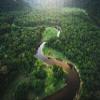 1000Pcs Wooden Jigsaw Puzzle for Adults MATA Atlantica Atlantic Forest Challenging Puzzle Jigsaw Puzzle for Adult Family Holiday Puzzle view 1
