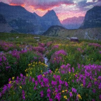 1000Pcs Wooden Jigsaw Puzzle for Adults Glacier National Park Meadow Bloom Going to The Sun Challenging Puzzle Jigsaw Puzzle for Adult Family Holiday Puzzle