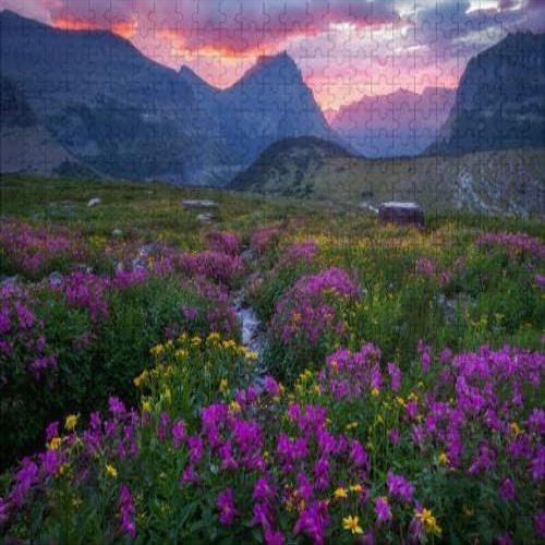 1000Pcs Wooden Jigsaw Puzzle for Adults Glacier National Park Meadow Bloom Going to The Sun Challenging Puzzle Jigsaw Puzzle for Adult Family Holiday Puzzle