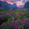 1000Pcs Wooden Jigsaw Puzzle for Adults Glacier National Park Meadow Bloom Going to The Sun Challenging Puzzle Jigsaw Puzzle for Adult Family Holiday Puzzle view 1