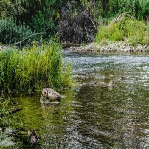 1000Pcs Wooden Jigsaw Puzzle for Adults A Stone The Eddy The River Challenging Puzzle Jigsaw Puzzle for Adult Family Holiday Puzzle