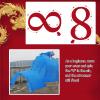 EXCLURA Dragon Poi White Flowy Dragon Poi Set Light Up, Kung Fu Dragon Poi with 3D Real-Like Dragon Head, Single Chinese Spiral Ribbon Streamer, for Outdoor Patio(6m (20ft)) view 4