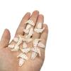 10PCS RC Airplane Plastic Lock On Control Horns Micro Control Horn for RC Plane Aircraft Helicopter DIY Model Plane Parts (13.5x16mm White) view 4