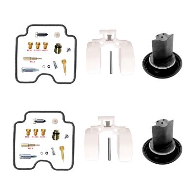 Carburetor Repair Kit with Plunger Diaphragm Float Aircut for Dragstar 1100 XVS1100 1999-2006(XVS1100-E)