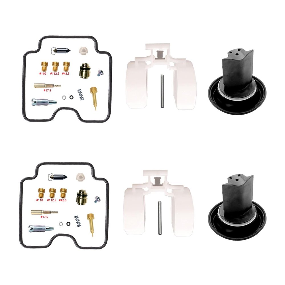 Carburetor Repair Kit with Plunger Diaphragm Float Aircut for Dragstar 1100 XVS1100 1999-2006(XVS1100-E)