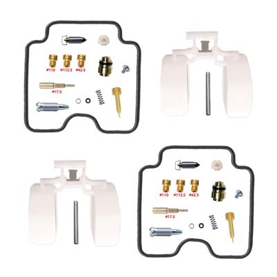 Carburetor Repair Kit with Plunger Diaphragm Float Aircut for Dragstar 1100 XVS1100 1999-2006(XVS1100-C)