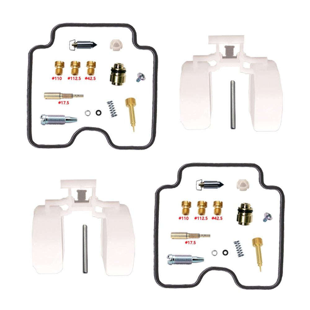 Carburetor Repair Kit with Plunger Diaphragm Float Aircut for Dragstar 1100 XVS1100 1999-2006(XVS1100-C)