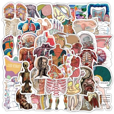 100PCS Cool Anatomy Stickers,Biology Anatomy Human Body Organ Stickers for Students Teachers Kids Doctors Nurses,Waterproof Vinyl Stickers for Water Bottle Laptop Scrapbook(Human Organ)