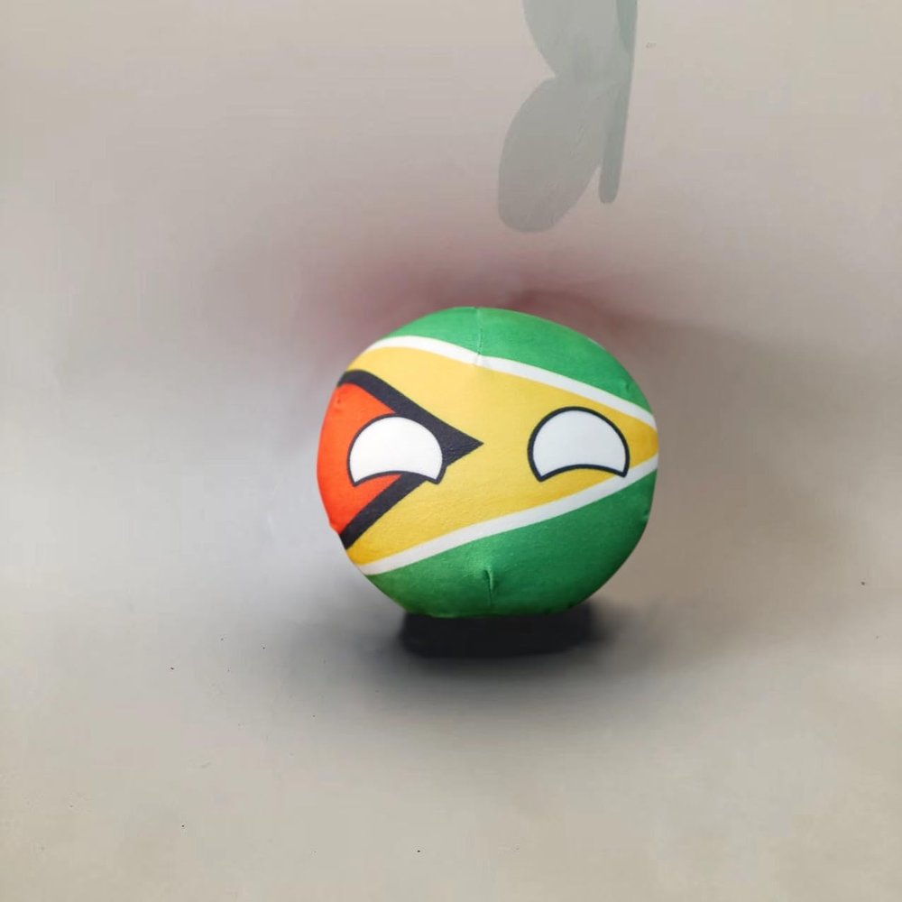 QXXKJDF 7.9-inch 3.9-inch Polish Ball, Country Ball, Australia, Japan, Maldives, Angola, Flags of Multiple Countries, Plush Toy Countryballs, Interior Decoration, (Guyana,7.8in)