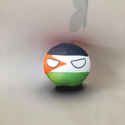 QXXKJDF 7.9in 3.9in Country Ball Plush Country Ball, Flags of France, Qatar, Croatia, Peru and Other Countries, Plush Toy Country Balls, Indoor Decoration, (Palestine,3.8in)
