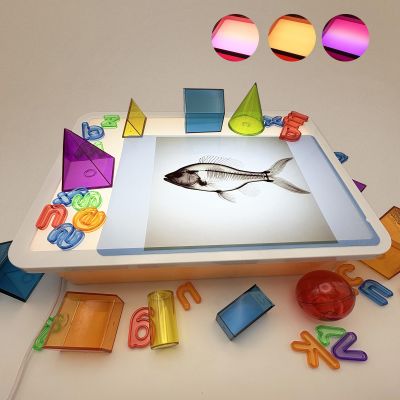 16" LED Light Box for Kids, Sensory Light Table, Portable Dimmable Light Box for Tracing, Alphabet Learning, Magna-Tiles, Diamond Painting Art, Home & Classroom (Orange 10 Levels,3 Color Modes)