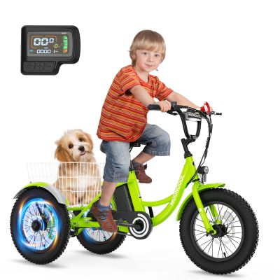 DoCred 16 Inch Kids Electric Trike, 250W 24V Fat Tire Electric Tricycle, Three Wheels Electric Cruiser Bicycle, Aluminum Frame Motored Kids Bike with Adjustable Seat and Basket, Green