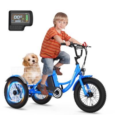 DoCred 16 Inch Kids Electric Trike, 250W 24V Fat Tire Electric Tricycle, Three Wheels Electric Cruiser Bicycle, Aluminum Frame Motored Kids Bike with Adjustable Seat and Basket, Blue