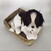 PawFection Pets Border Collie Dog, Realistic, Lifelike Stuffed Interactive Nodding Pet Toy, Companion Pet Puppy with 100% Handcrafted Synthetic Fur view 3