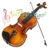 16 Inch Viola Set Solid Wood Viola With Carry Case And Bow Set For Beginners Students Natural Color Stringed Instrument view 2