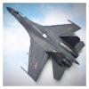 LIUSANGLIU Scale Aircraft 1:72 for Su 27 Flanker China J 11 Fighter Model Air Force Static Simulation Aircraft Model Suitable for Display view 2