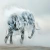 1000 Piece Adult Jigsaw Puzzle, Elephant in The Smoke, Gift for Jigsaw Lovers view 1