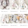 2025 Easter Personalized Plush Bunny Custom Name Children'S First Bunny Gift Newborn Memorial Gift Encouragement Gift (Easter Style A) view 2