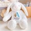 2025 Easter Personalized Plush Bunny Custom Name Children'S First Bunny Gift Newborn Memorial Gift Encouragement Gift (Easter Style B) view 3