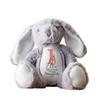 2025 Personalized Easter Bunny Plush Toys Kids First Easter Gifts Cute Animal Toys Easter Kids Gifts Toddler Toys Easter Basket Stuffer view 1