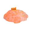 Paradise Axolotl Elixir Slime | Handmade Slime | Hippocampe Slimes (6OZ) view 3