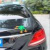 GdTenyuanHeki 3D Printed Magnetic Frog,Figurines 3D Fake Frog ,Articulated 3D Printed Animals,3D Printed Fidget for Refrigerator Magnets Decor,Computer Monitor Decor (Green 20cm) view 3