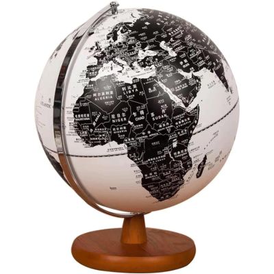 FADCAIYD Clear Dia 10-inch/25CM Globe, World Globe Built in LED, Earth Globe Built in LED Geographic Globe for Kids Classroom Learning Rotating
