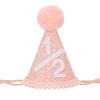 Alainzeo 1/2 Birthday Hat for Baby, Glitter & Comfortable 6-Month Party Hat with Elastic Headband, Perfect for Baby Photos and Milestone Celebrations(Pink) view 1