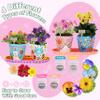 Jouetondream Paint & Plant Flower Gardening Kit with 4 Pots - Kids Gardening Set Ages 8-12, Spring Arts & Crafts Activities Kits, Educational Birthday/Easter Gifts for Boys & Girls Ages 5 6 7 9 10 11 view 3