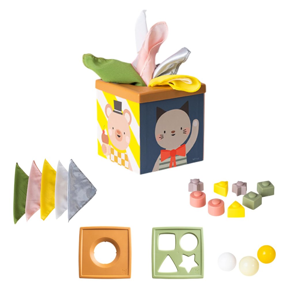 Taf Toys Multi-Sensory Montessori Baby Toy Infant Toys 6-12 Months 16pcs Pieces Baby Tissue Box Toy, Shape Sorter, Play Balls Learning Toys Toddlers 1-3 Motor Skills Development Toddler Activity Cube