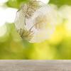 10" Metal Wind Spinner Golden Feather Outdoor Garden Decor Yard Art Home Decor view 3