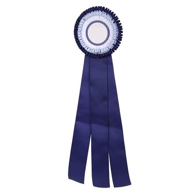 First Second Place Rosette Ribbon Badge, Exquisite Small Medal Award for Game Winners with Stylish Satin Design Blue (Blue)