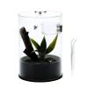 Jumping Spider Enclosure Starter Kit with Feeding Dish, Tarantula Cribs for Mantis Snails Ladybugs Insect, Micro Habitat Cage Accessories view 1