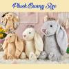 2025 Personalized Embroidered Plush Bunny Easter Bunny Egg Font Handmade Customized Child's First Easter Gift Easter Basket Stuffer view 4