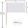 100 Pcs Blank Toothpick Flags Cheese Markers Food Labels for Party Buffet Cheese Labels for Charcuterie Board Cocktail Picks for Appetizers (White) view 2