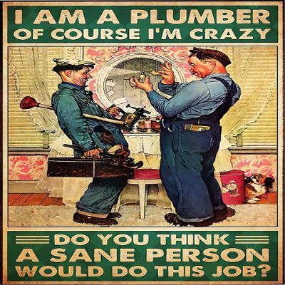 1000 Piece Adults Kids Wooden Jigsaw Puzzle Plumbing I Am A Plumber Puzzle Challenging Educational Fun Family Games Toys Gifts for Home Kitchen Decor Family Activities