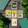 Green Glyphs Tarot, 78 Color-Coded Cards and Gold Gilded Edges, Beginner-Friendly Cards and Detailed Guidebook in Keepsake Box by The Creator of Prisma Visions Tarot, James R. EADS view 1