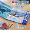 12Pack Ocean Animal Toy for Kid with Sound Book(On/Off), Gift Box, Realistic Sea Creature Figure, Educational Plastic Under the Sea life for Toddler, Birthday Party Favor, Water Table Toy for Boy Girl view 3