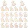 27pcs Easter Egg Fillers for Kids, Wood Easter Reward Tokens Cute Easter Bunny Reward Tokens Easter Egg Reward Tokens Easter Bunny Coins Easter Basket Stuffers Easter Gifts for Boys Girls view 1