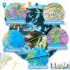 BSHAPPLUS 9in Illuminated Globes with 88 Constellation Map & Built-in LED Night Light 3 in 1, USB Charging & None-Slip Stainless Steel Stand, Classroom Education & Bedroom Decor view 4