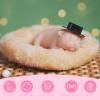 Skillssist Silicone Puppy Animal Doll Toy, Realistic Puppy Dog Animal Toy, Mini Dog Pet Model for Birthday Gift, Home Decor view 2