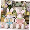 Alipis Easter Bunny Animals Plushies Unicorn Inflatable Piggy Stuffed Rabbit Costume Pp Cotton view 3